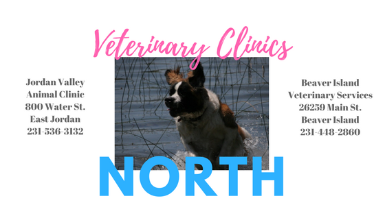 jordan valley animal clinic jordan valley animal clinic